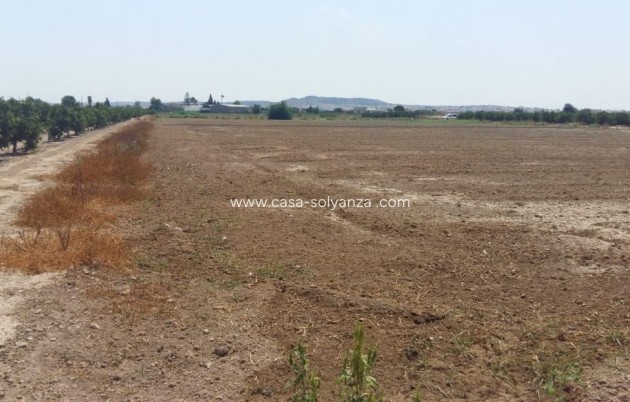 Resale - Country Property/Finca - Daya Nueva - Costa Blanca