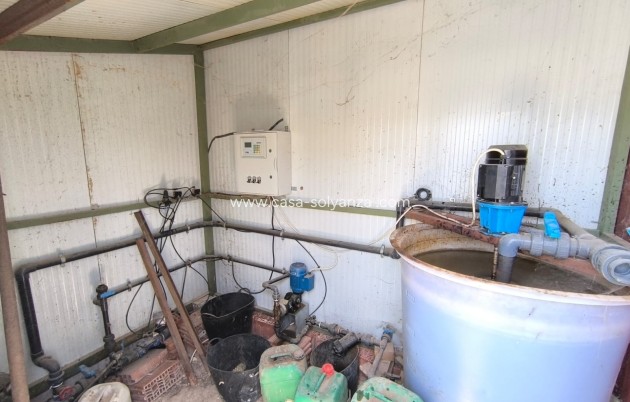 Wiederverkauf - Land - Pinoso - Inland