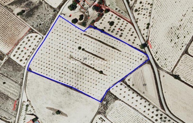 Wiederverkauf - Land - Pinoso - Inland