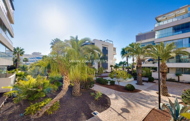 Revente - Appartement - Orihuela Costa - Costa Blanca