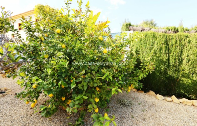 Revente - Villa - La Nucía - Costa Blanca