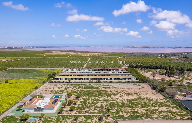 Revente - Villa - Los Montesinos - Costa Blanca