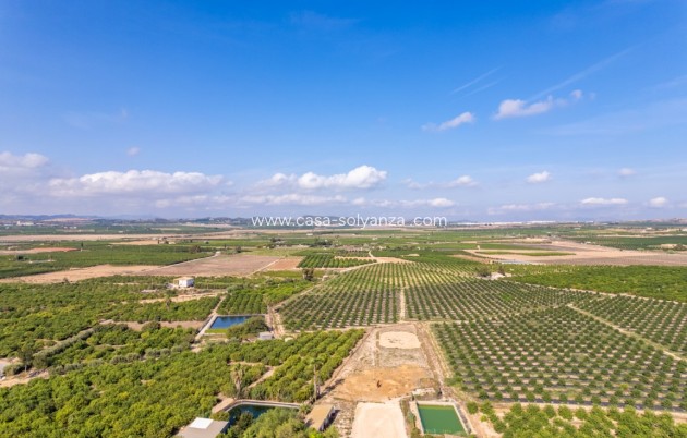 Revente - Villa - Los Montesinos - Costa Blanca