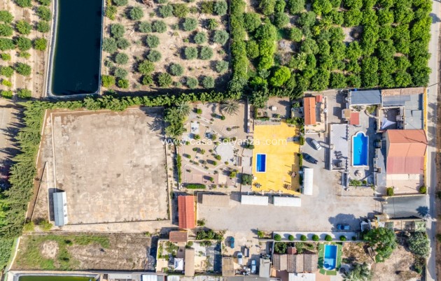 Revente - Villa - Los Montesinos - Costa Blanca