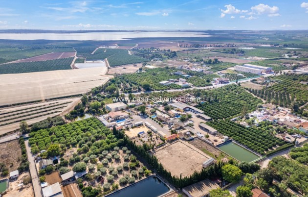 Revente - Villa - Los Montesinos - Costa Blanca