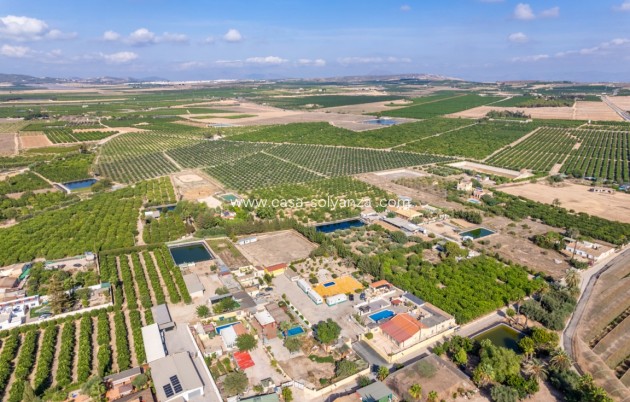 Revente - Villa - Los Montesinos - Costa Blanca