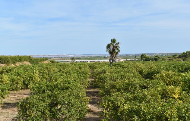 Resale - Villa - Torremendo - Costa Blanca