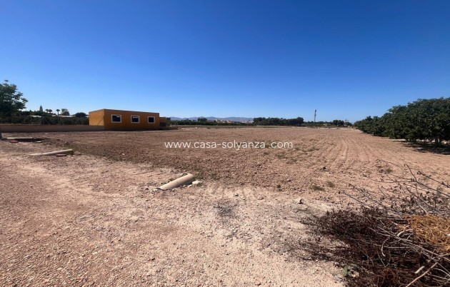 Revente - Country Property/Finca - Daya Nueva - La Bodega