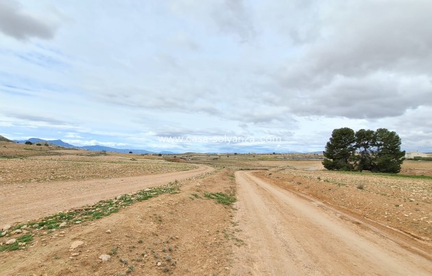 Revente - Villa - Torre Del Rico - Inland