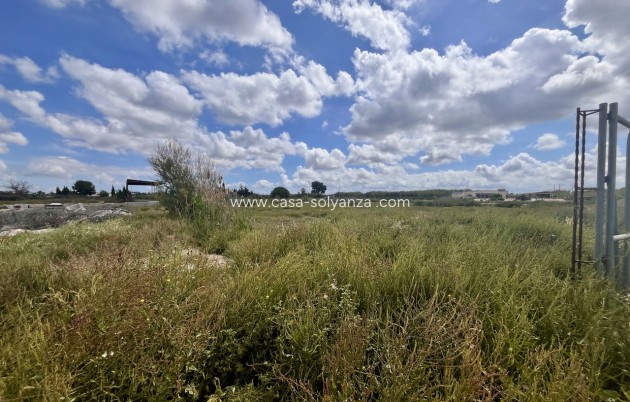 Revente - Land - Catral - Costa Blanca