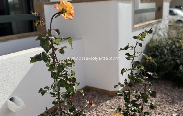 Revente - Appartement - Orihuela Costa - Costa Blanca