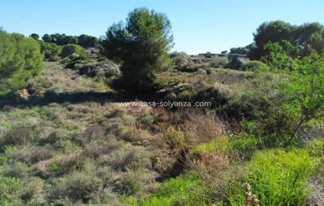 Revente - Land - Pinar de Campoverde - Inland