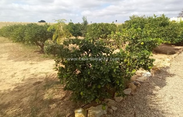 Revente - Country Property/Finca - San javier - Costa Calida