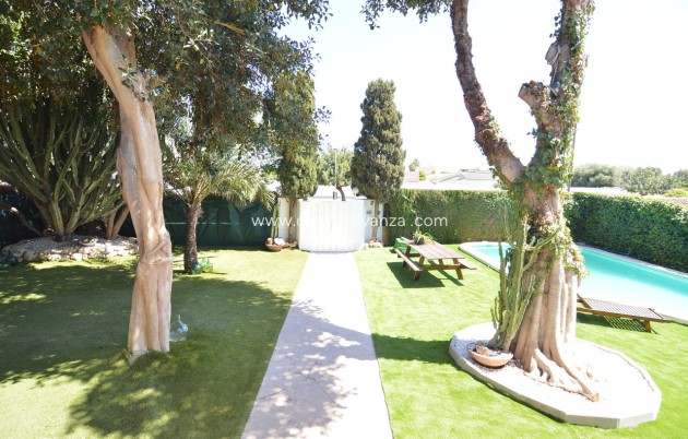 Revente - Villa - Torrevieja - Costa Blanca