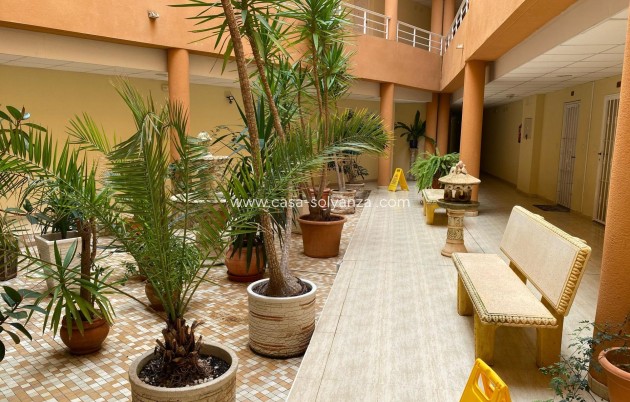 Revente - Appartement - San Miguel de Salinas - Pueblo 9