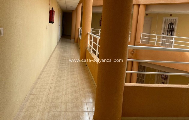 Revente - Appartement - San Miguel de Salinas - Pueblo 9