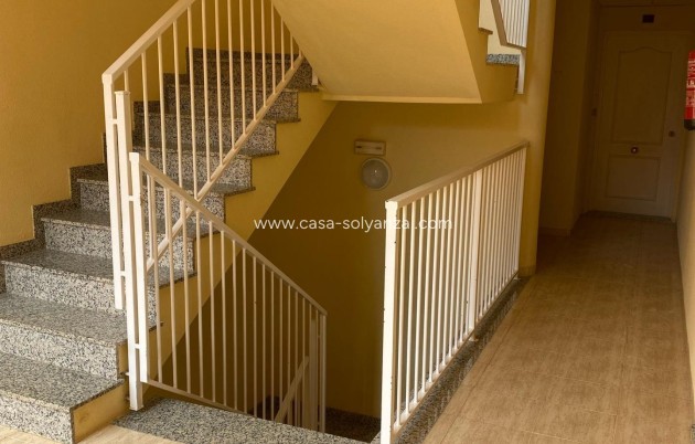 Revente - Appartement - San Miguel de Salinas - Pueblo 9