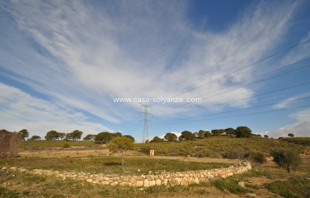 Revente - Country Property/Finca - Torre Del Rico - Inland