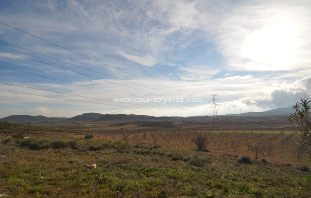 Revente - Country Property/Finca - Torre Del Rico - Inland