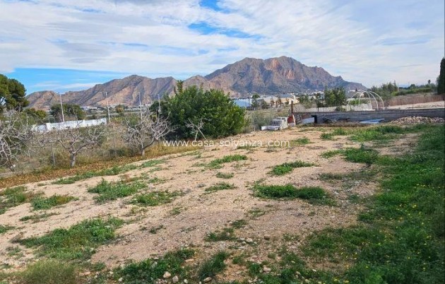 Revente - Villa - Orihuela - Urb. Montepinar