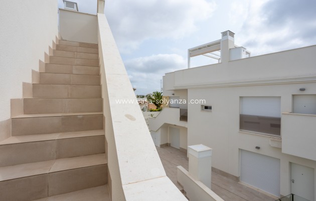Revente - Appartement - San Miguel de Salinas - Inland