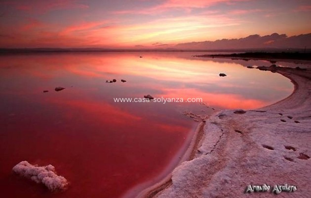 Revente - Appartement - Torrevieja - La Siesta