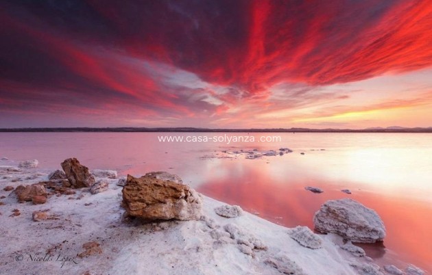 Revente - Appartement - Torrevieja - La Siesta