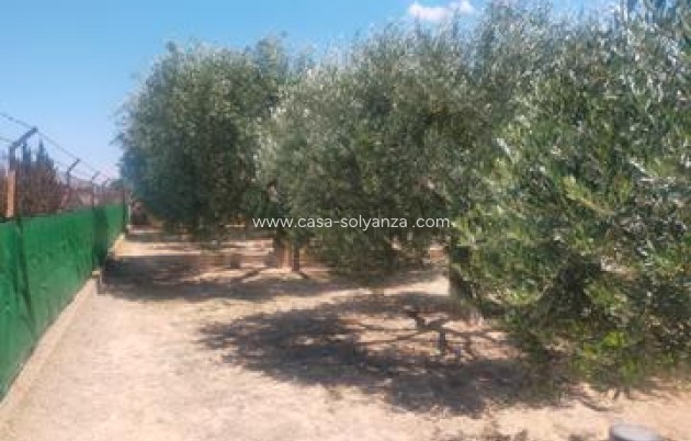 Revente - Villa - Elche - Costa Blanca