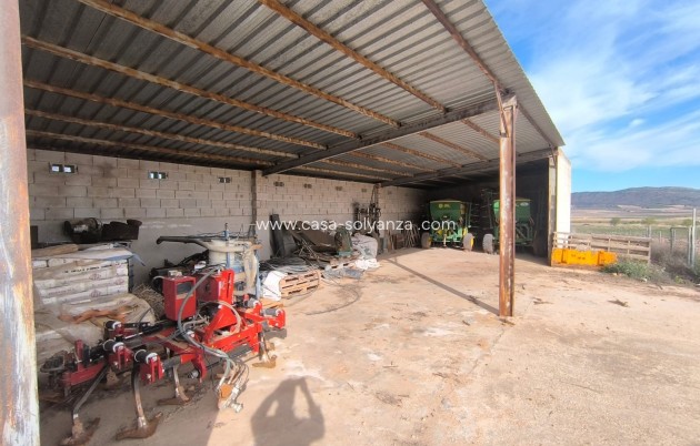 Revente - Country Property/Finca - Yecla - Inland