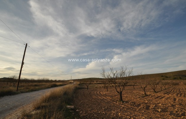 Wiederverkauf - Land - Abanilla - Inland