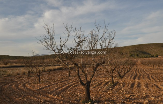 Wiederverkauf - Land - Abanilla - Inland