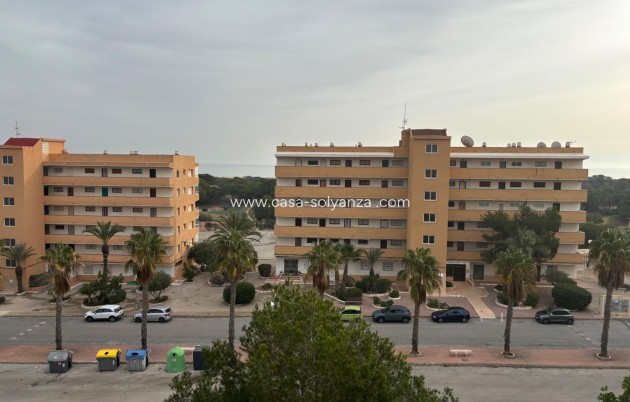 Revente - Appartement - Guardamar del Segura - Pinomar