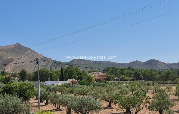 Revente - Villa - Yecla - Inland