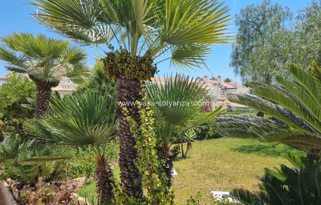 Revente - Appartement - Torrevieja - Los Balcones