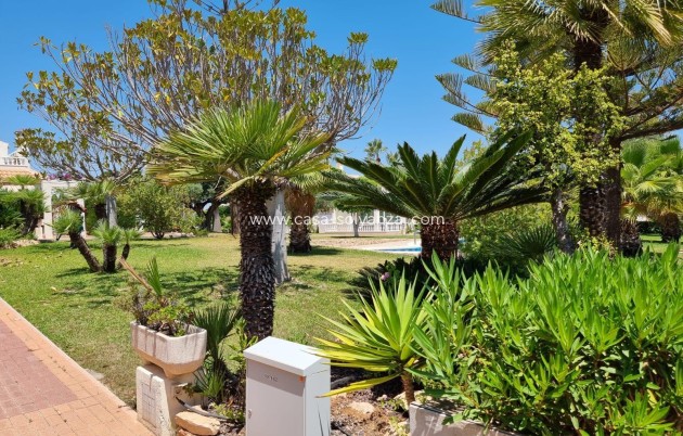 Revente - Appartement - Torrevieja - Los Balcones