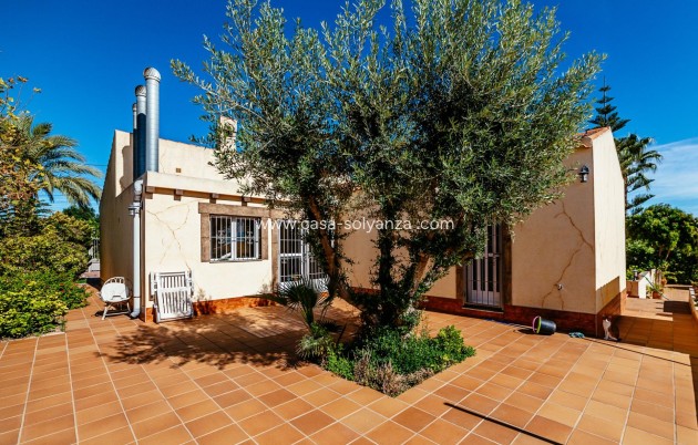 Revente - Villa - Los Montesinos - Montesinos  Los