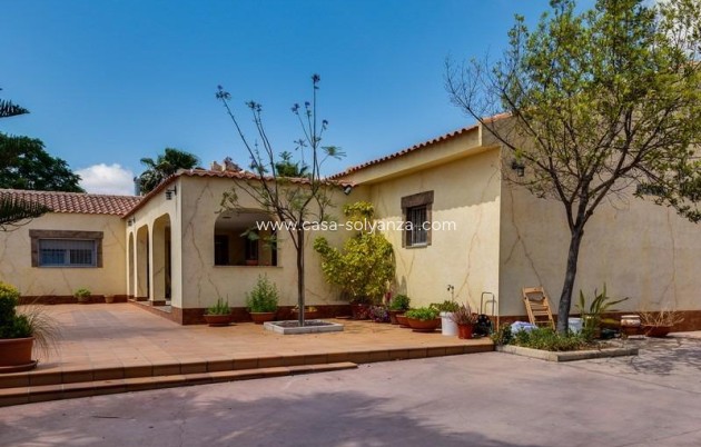 Revente - Villa - Los Montesinos - Montesinos  Los