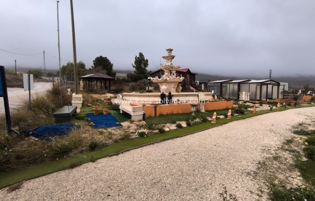 Revente - Commercial - La Romana - Inland