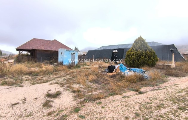 Revente - Commercial - La Romana - Inland