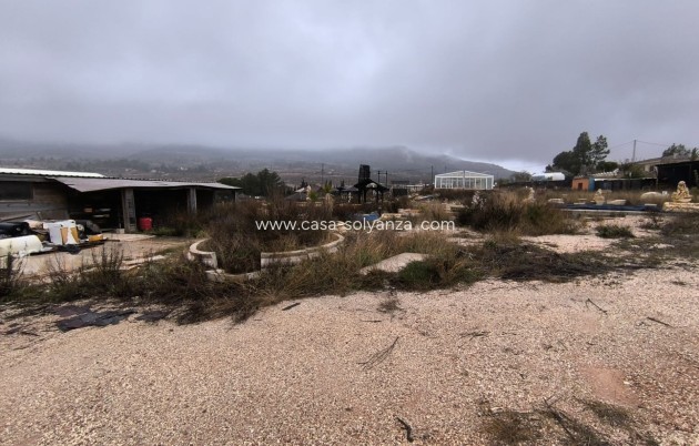 Revente - Commercial - La Romana - Inland