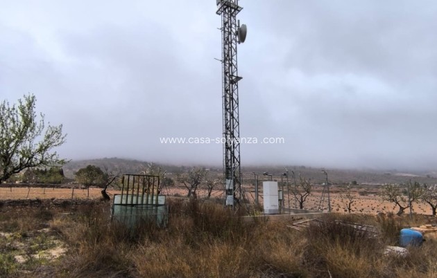 Revente - Commercial - La Romana - Inland