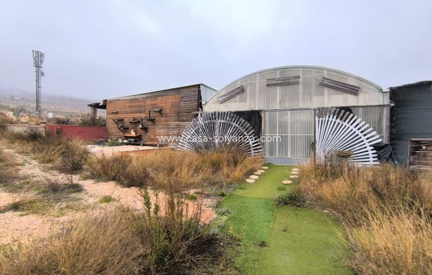 Revente - Commercial - La Romana - Inland