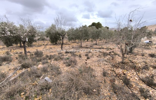 Revente - Country Property/Finca - La Romana - Inland