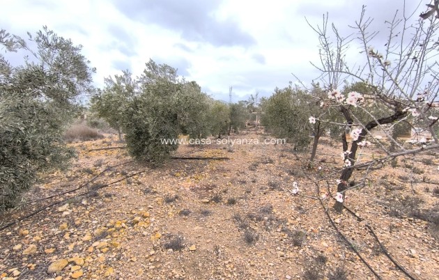 Revente - Country Property/Finca - La Romana - Inland