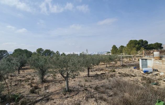 Revente - Country Property/Finca - La Romana - Inland