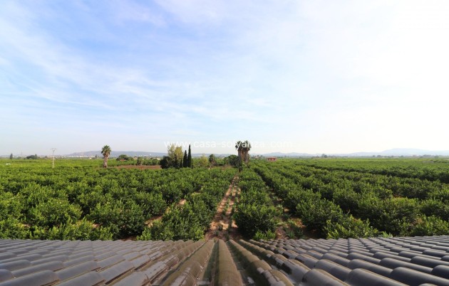 Revente - Villa - Orihuela - La Campaneta