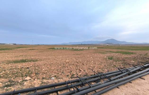 Revente - Land - Yecla - Inland
