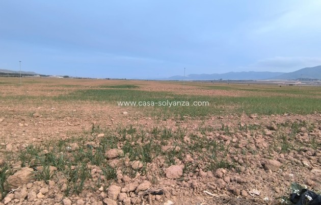 Revente - Land - Yecla - Inland