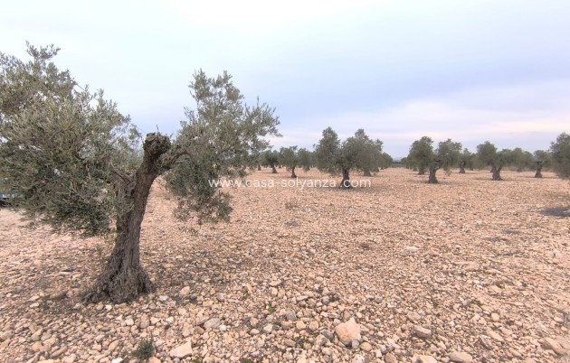 Revente - Land - Yecla - Inland