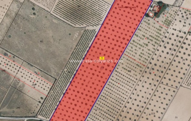 Revente - Land - Yecla - Inland